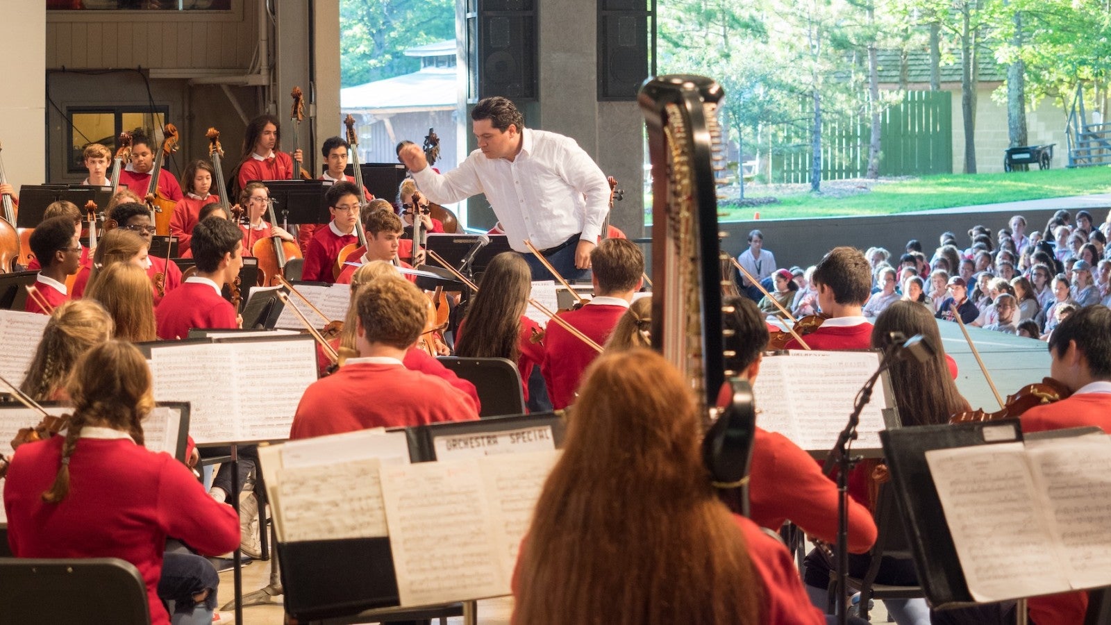 interlochen orchestral scholars