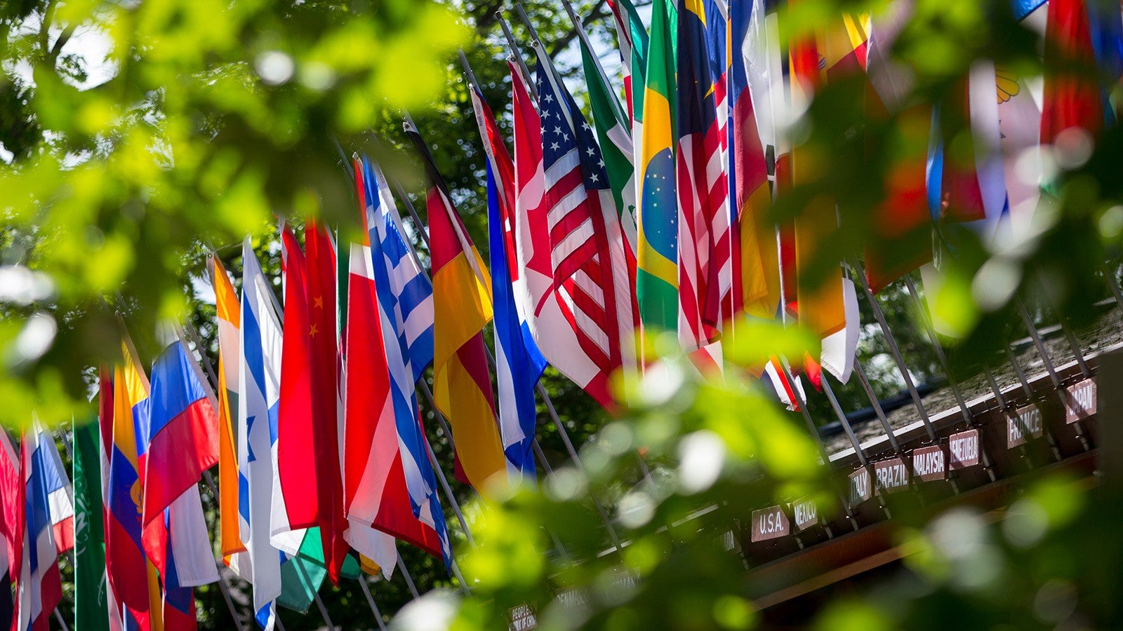 Flags from a variety of nations