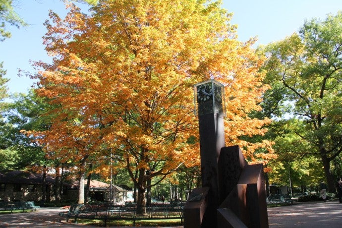 Scenic shot of campus featuring the clock tower and a tree with fall colors