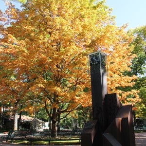 Scenic shot of campus featuring the clock tower and a tree with fall colors