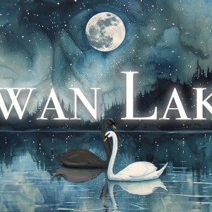 two swans on a lake