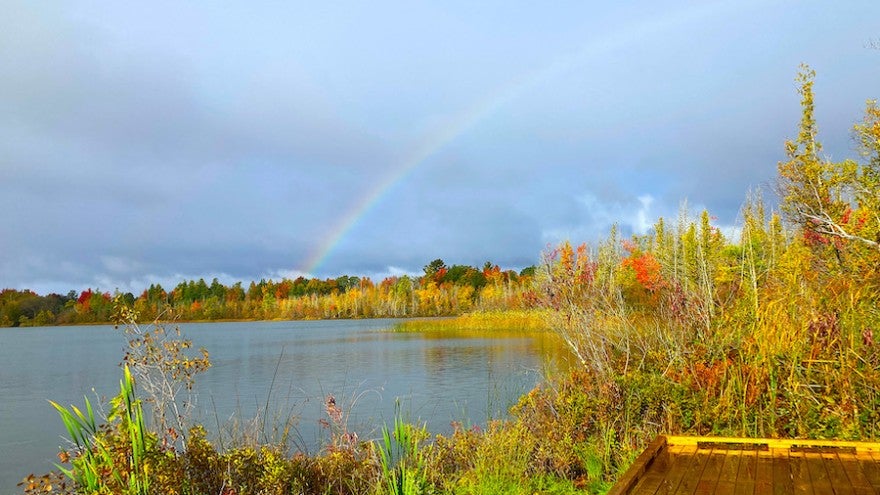 A rainbow arches though a grey sky across Bridge Lake and the Bridge Lake boardwalk on Interlocen's campus.